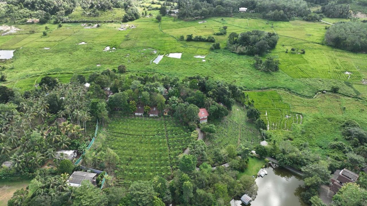 Lake Serenity Resort & Spa Kuruwita ภายนอก รูปภาพ